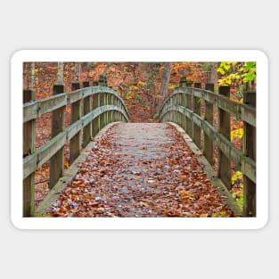 Bridge to Fall - Rock Creek Park Sticker